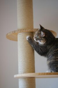 poste-sisal