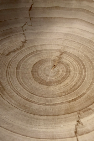 Madera especial