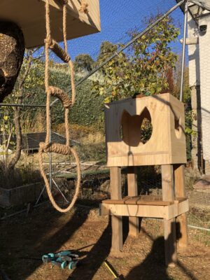 Parques para gatos